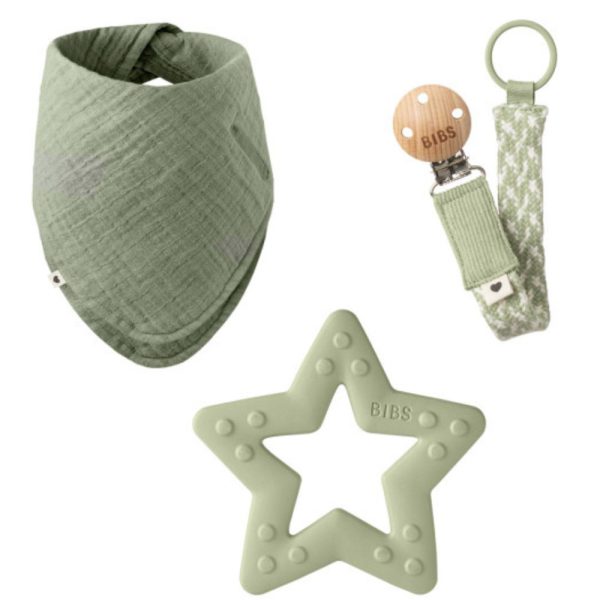 BIBS rinkinys, "My first 6 months", Sage, 1 vnt.